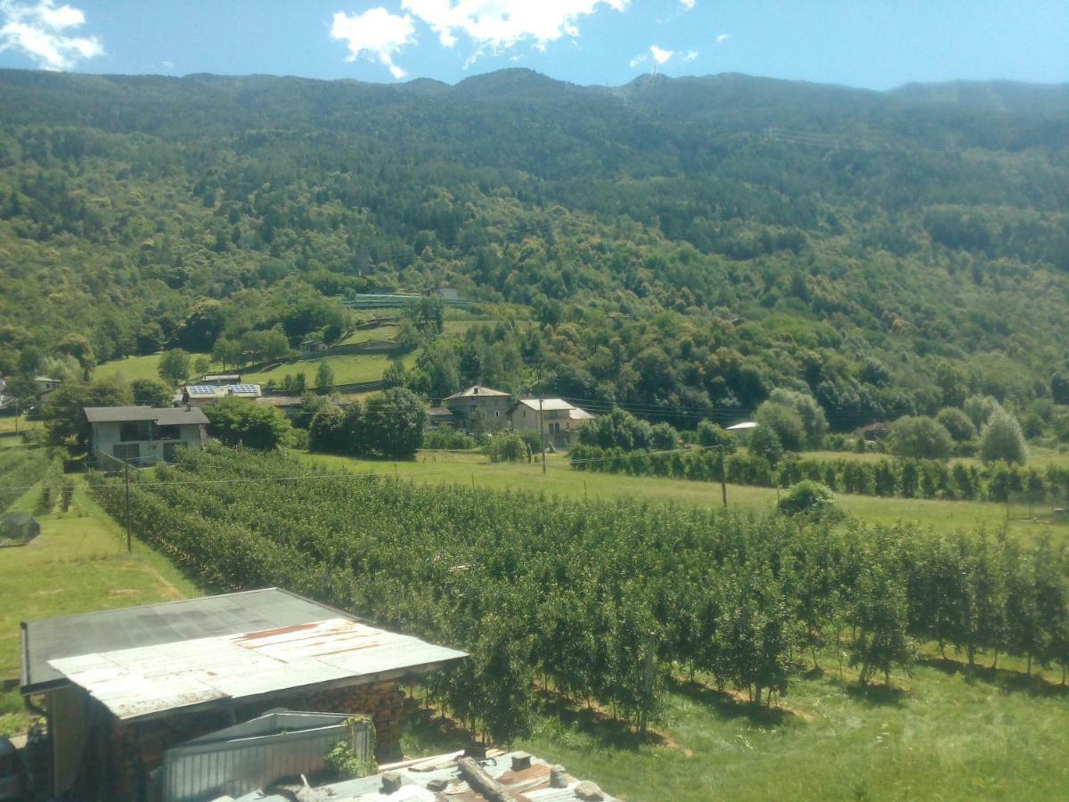Mazzo di Valtellina Free Hugs酒店 外观 照片